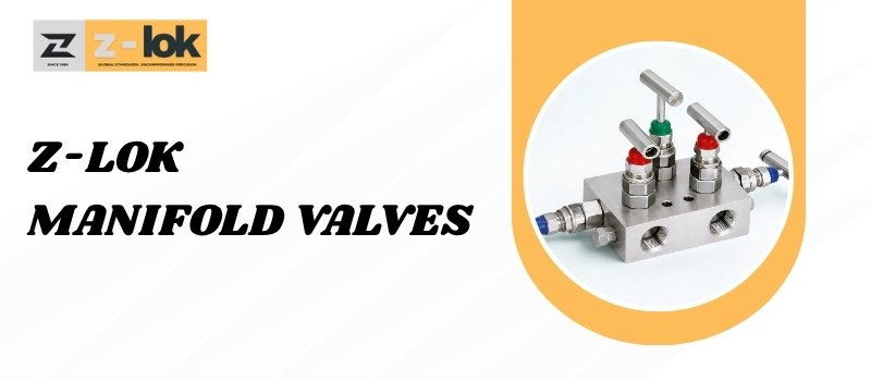 Manifold Valves
